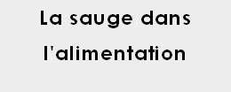 DICT_sauge_dans_l_alimentati.pdf