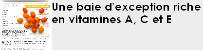 SVQ_HIPP_Une_baie_d_exception_riche_en_vitamines_A-C-E-2.png