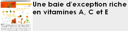 SVQ_HIPP_Une_baie_d_exception_riche_en_vitamines_A-C-E-1.png